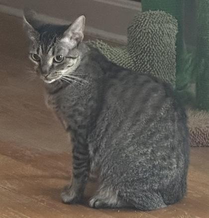 Maryland `a Priority