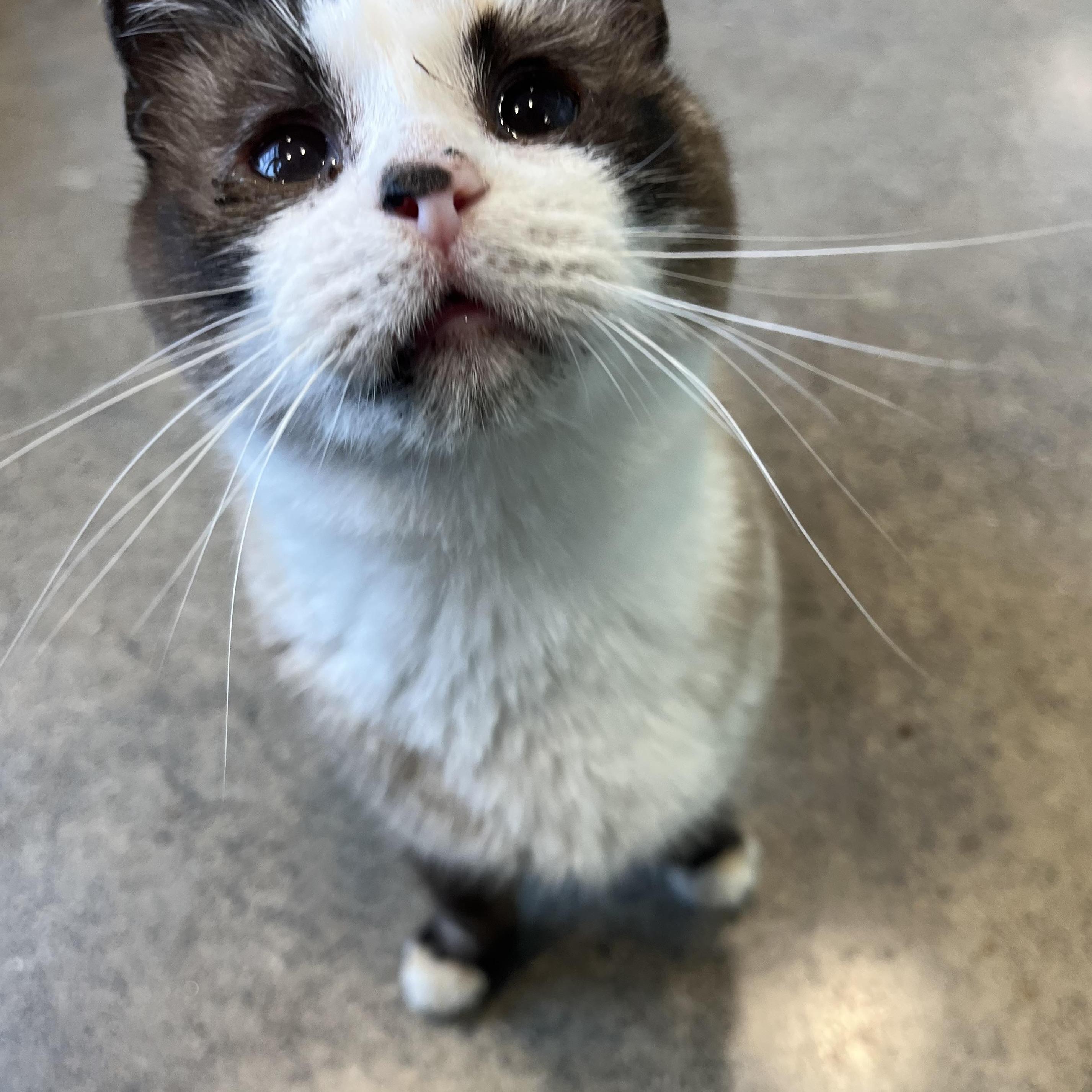 Pretty Girl And Jack