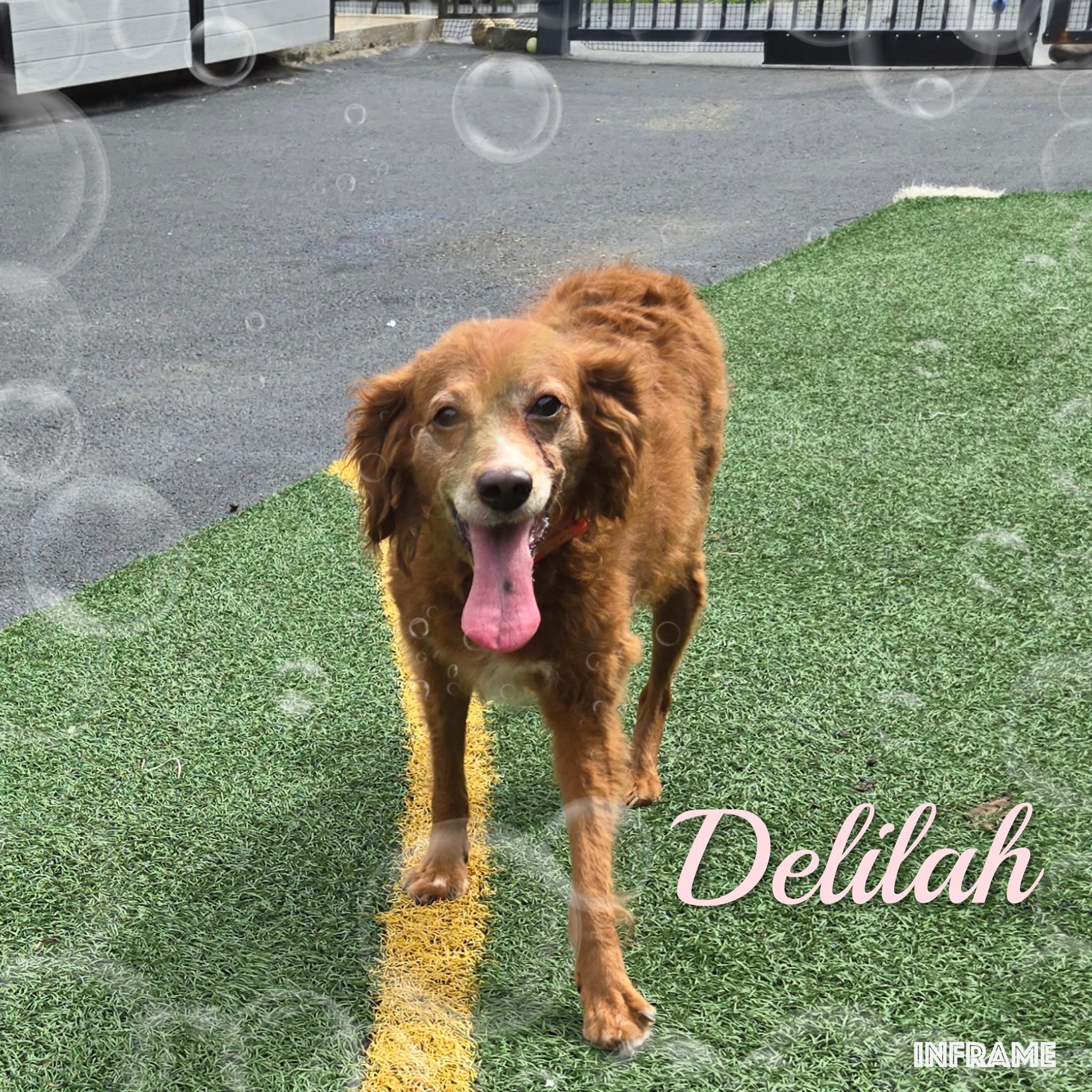 Delilah