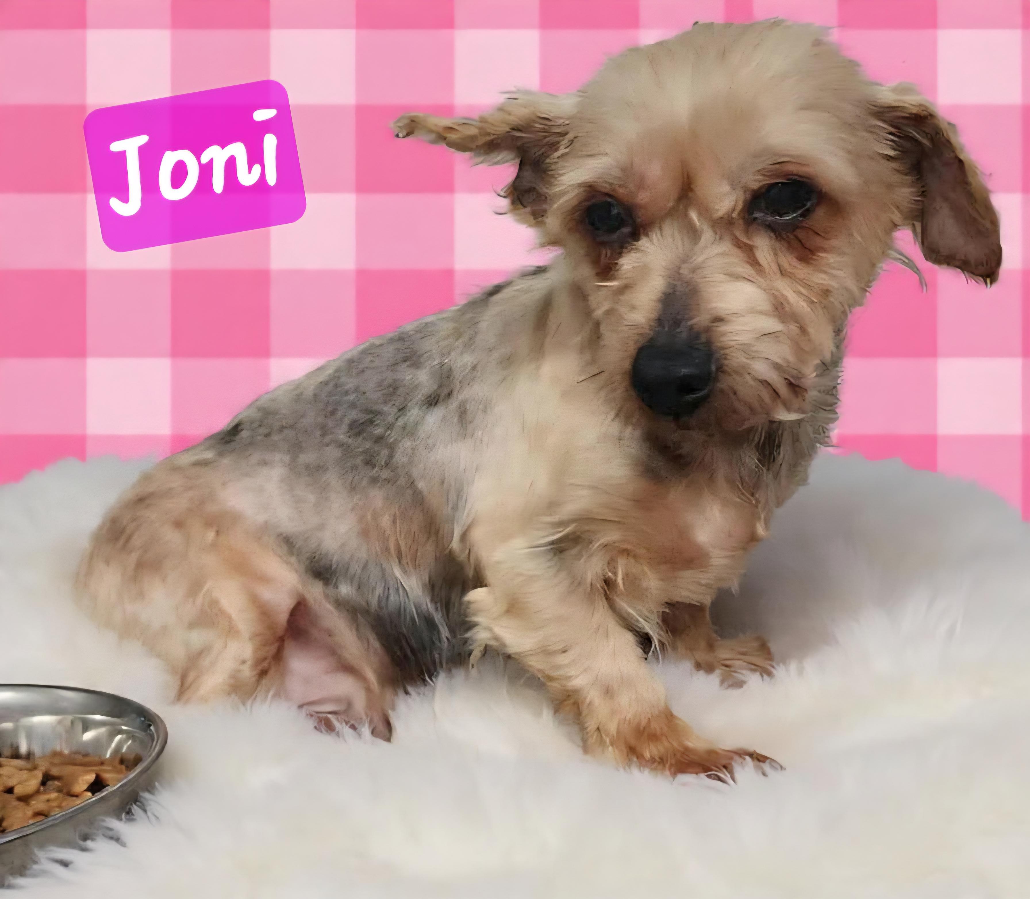 Joni