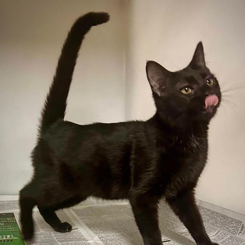 Runaway Sisters: Cherie Currie