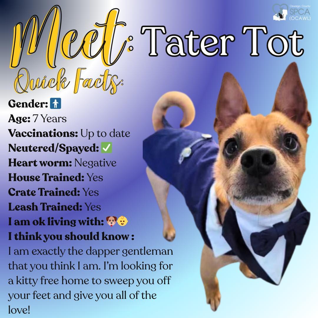 Tater Tot