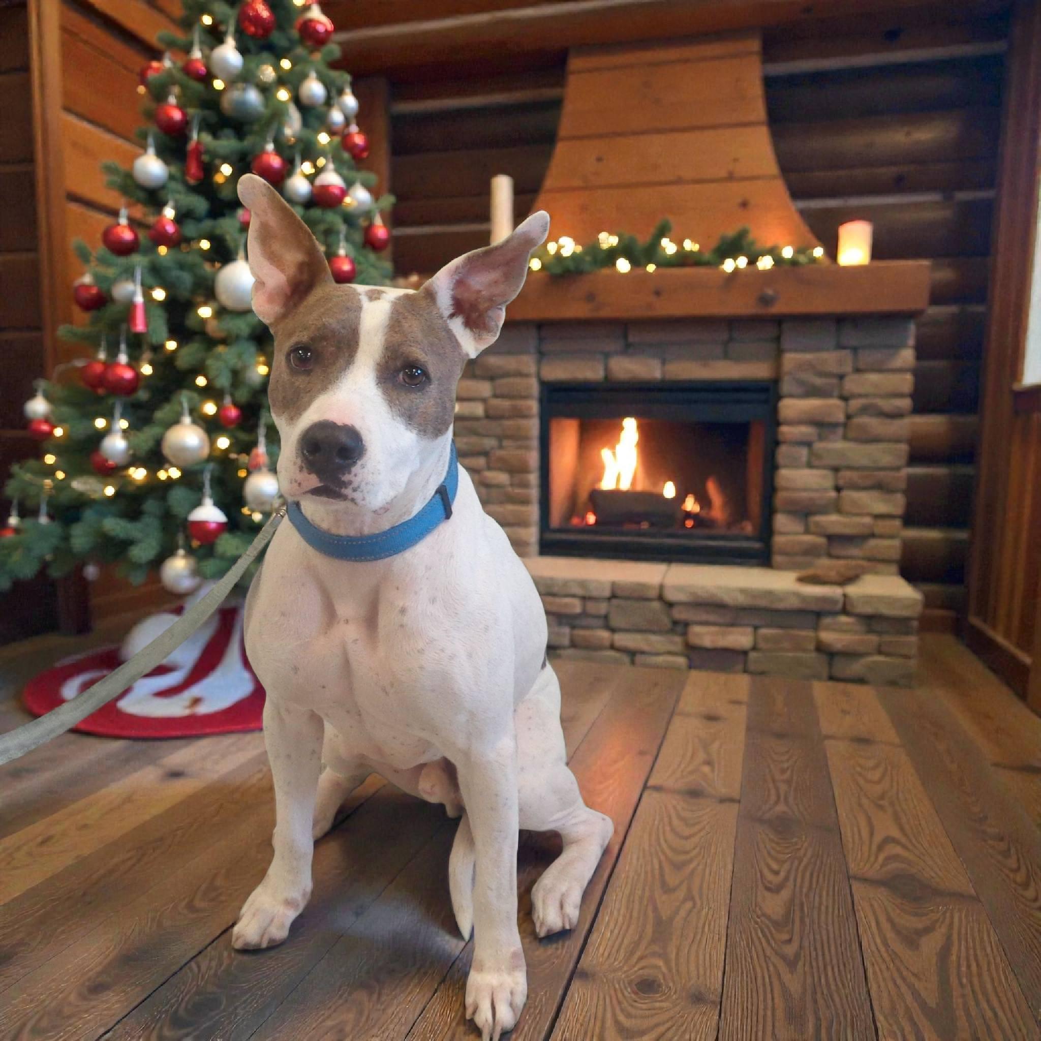 Cody Johnson photo 1