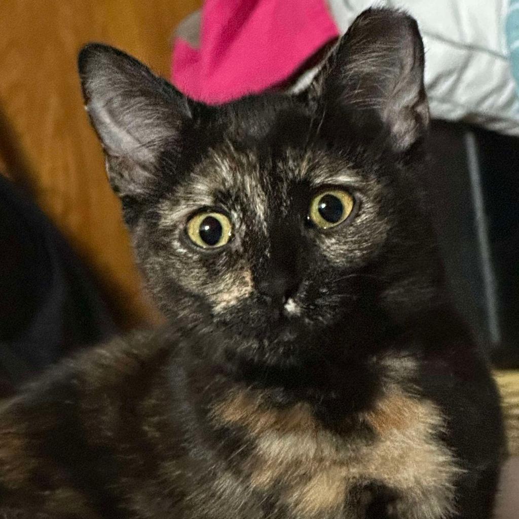 Sandy Medina photo 1