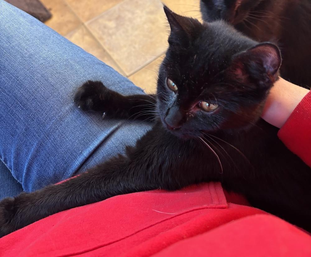 Bond Infilitrator: Jet