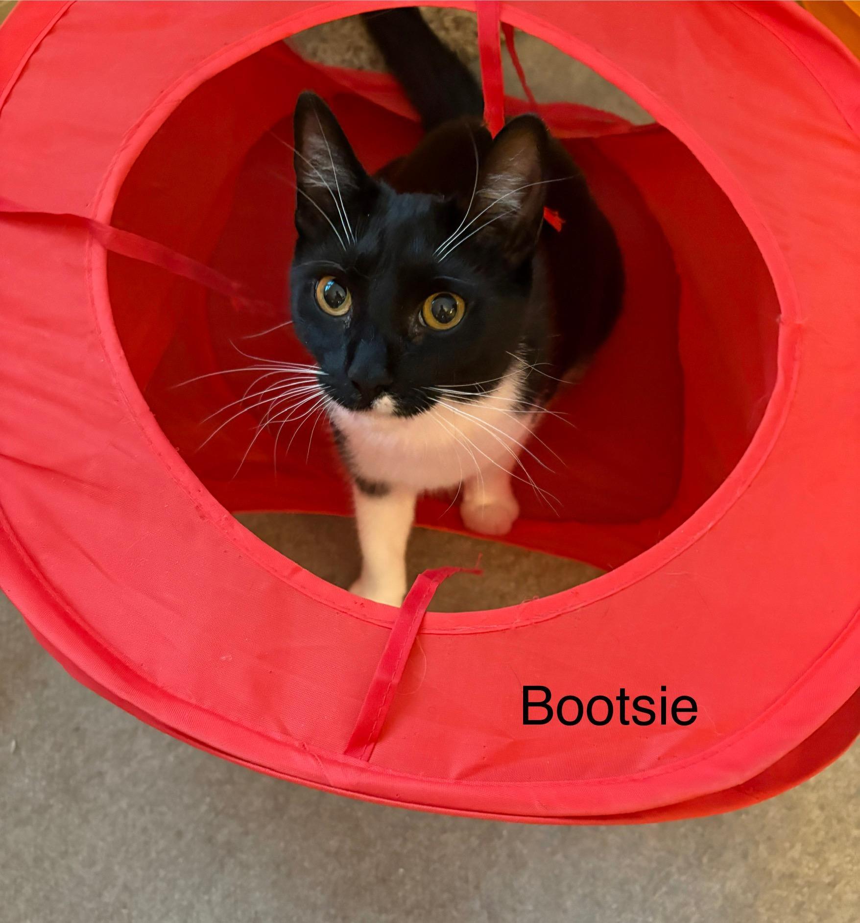 Bootsie