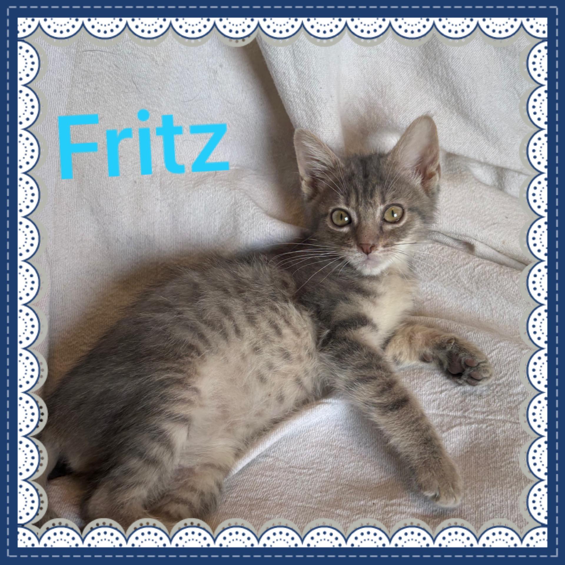 Fritz