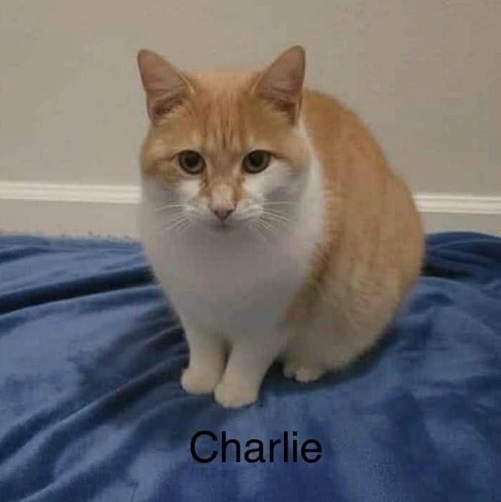 Charlie