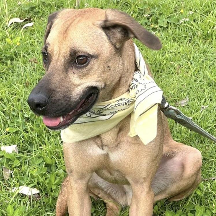 Luigi Bonded With Brother