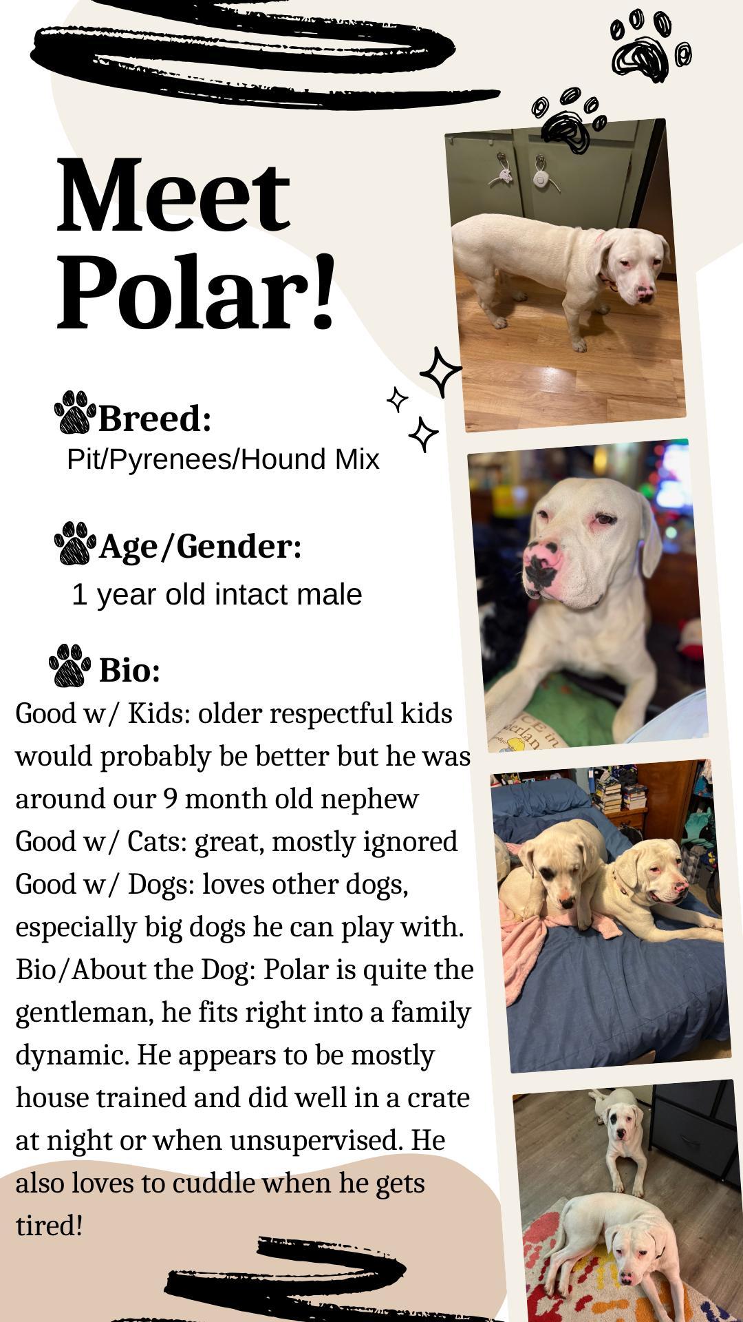 Polar