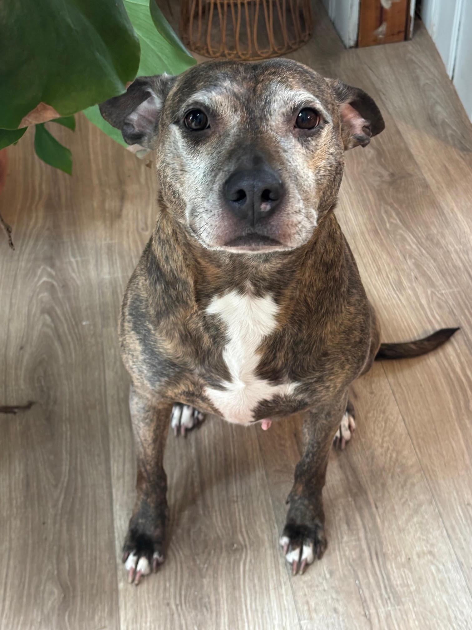 Bluebird Beautiful Girl!