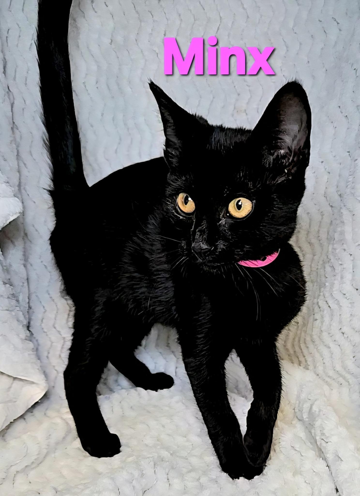 Minx