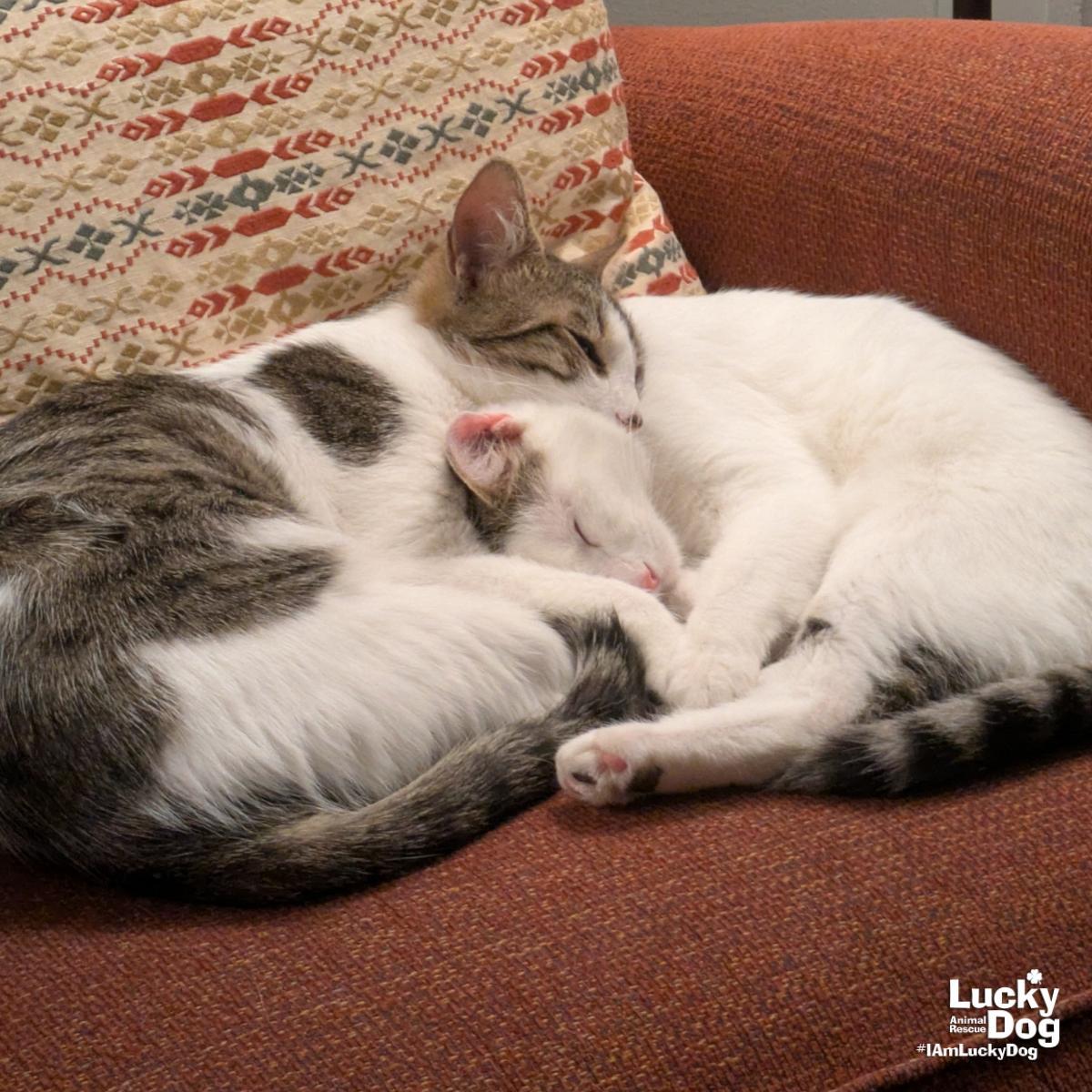 Bittie Casper photo 1