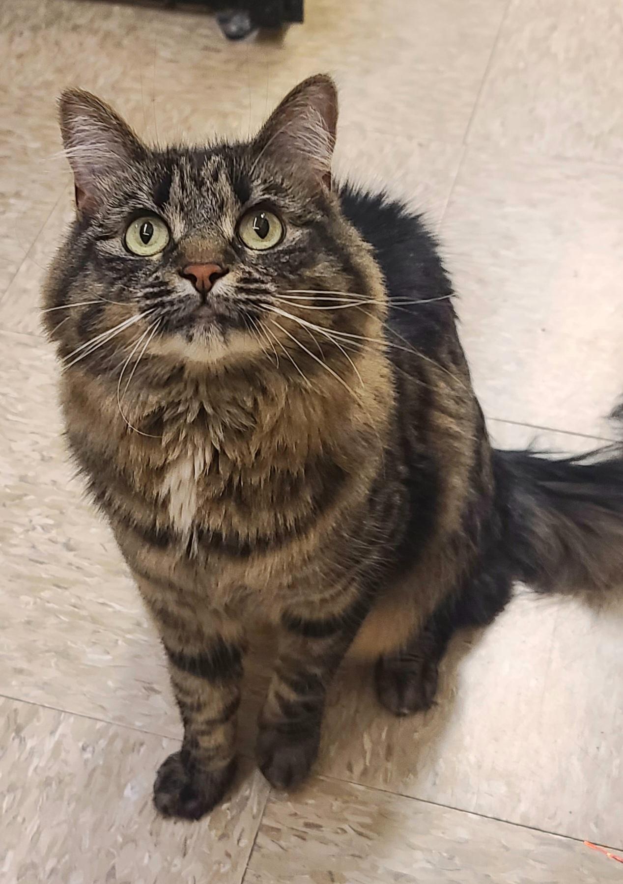 Sabrina Nikki photo 1