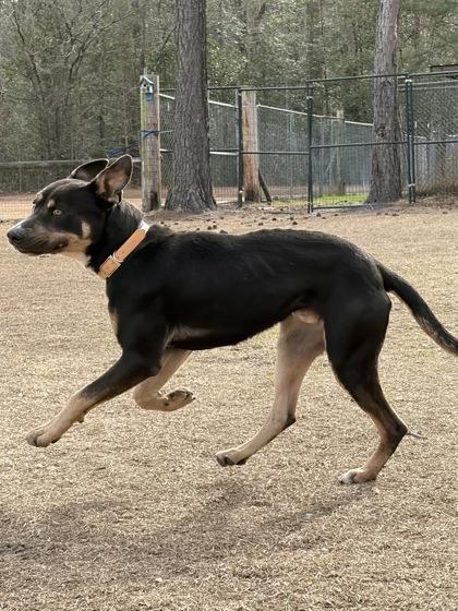 Marshall Aka September