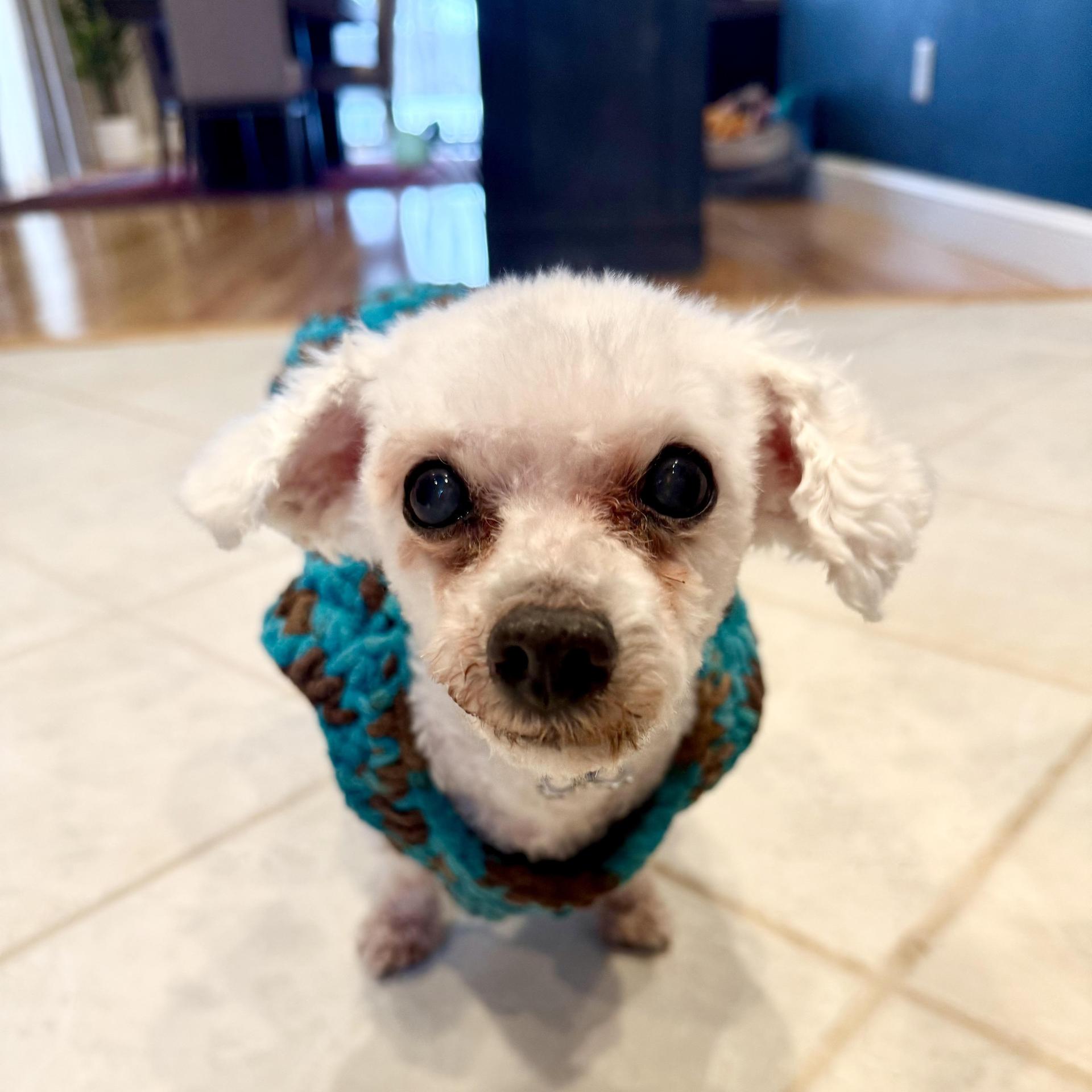 Sid The Toothless Cuddler photo 1