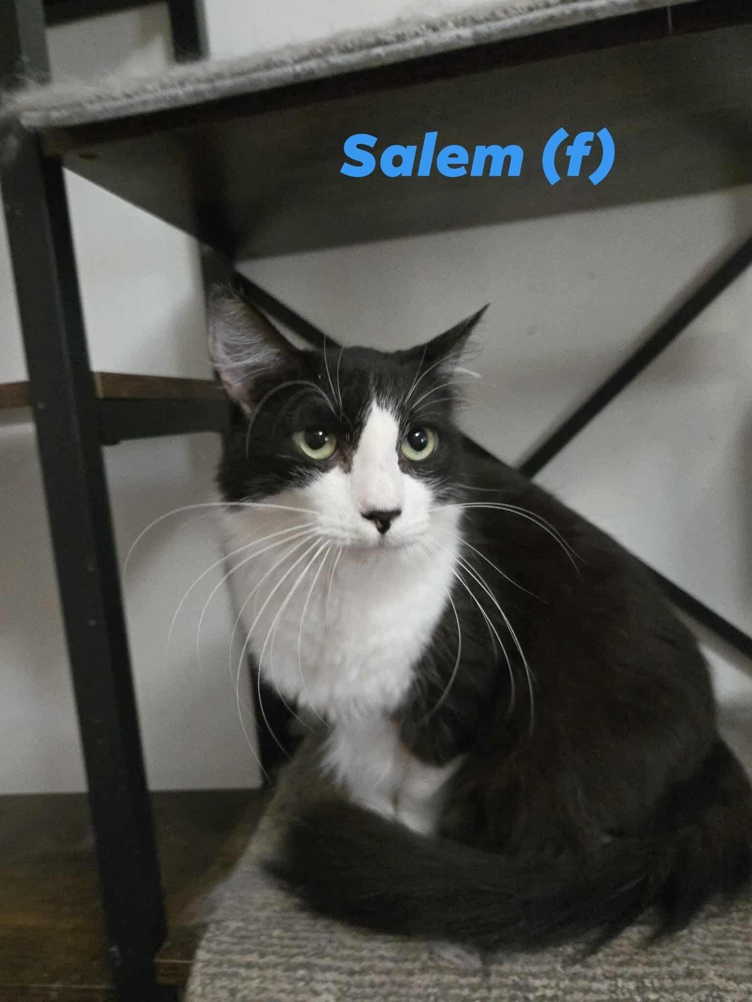 Salem