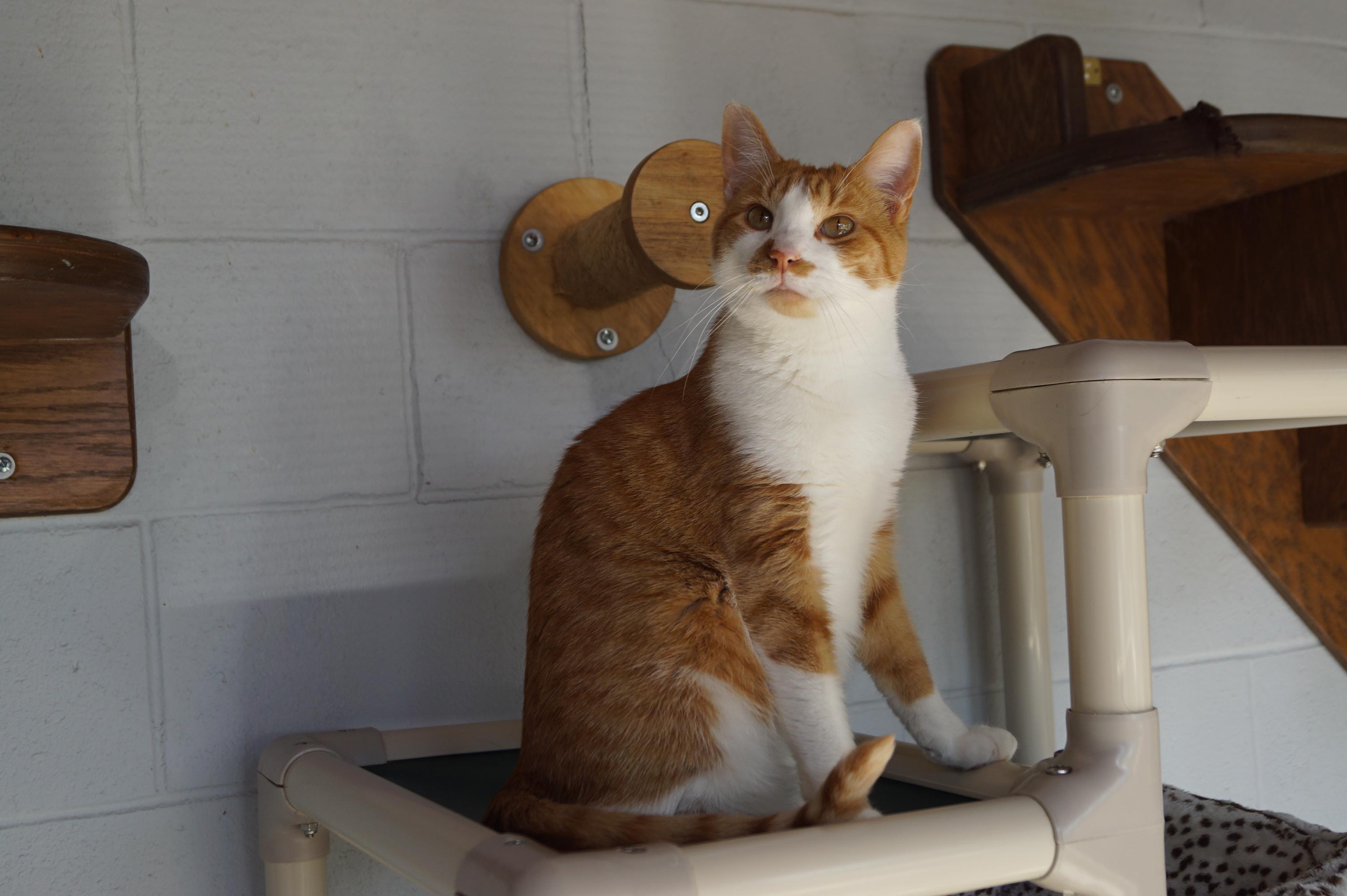 Penny Bonded With Ellie!