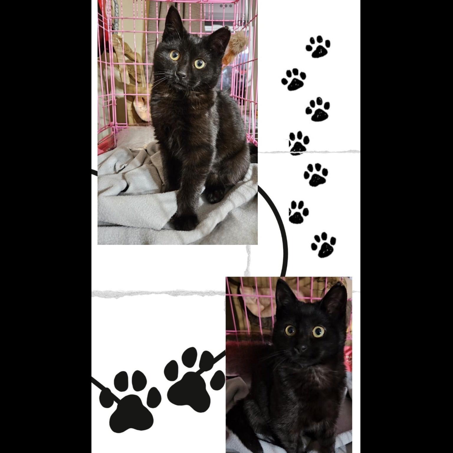 Kacey’s Kids Coming In