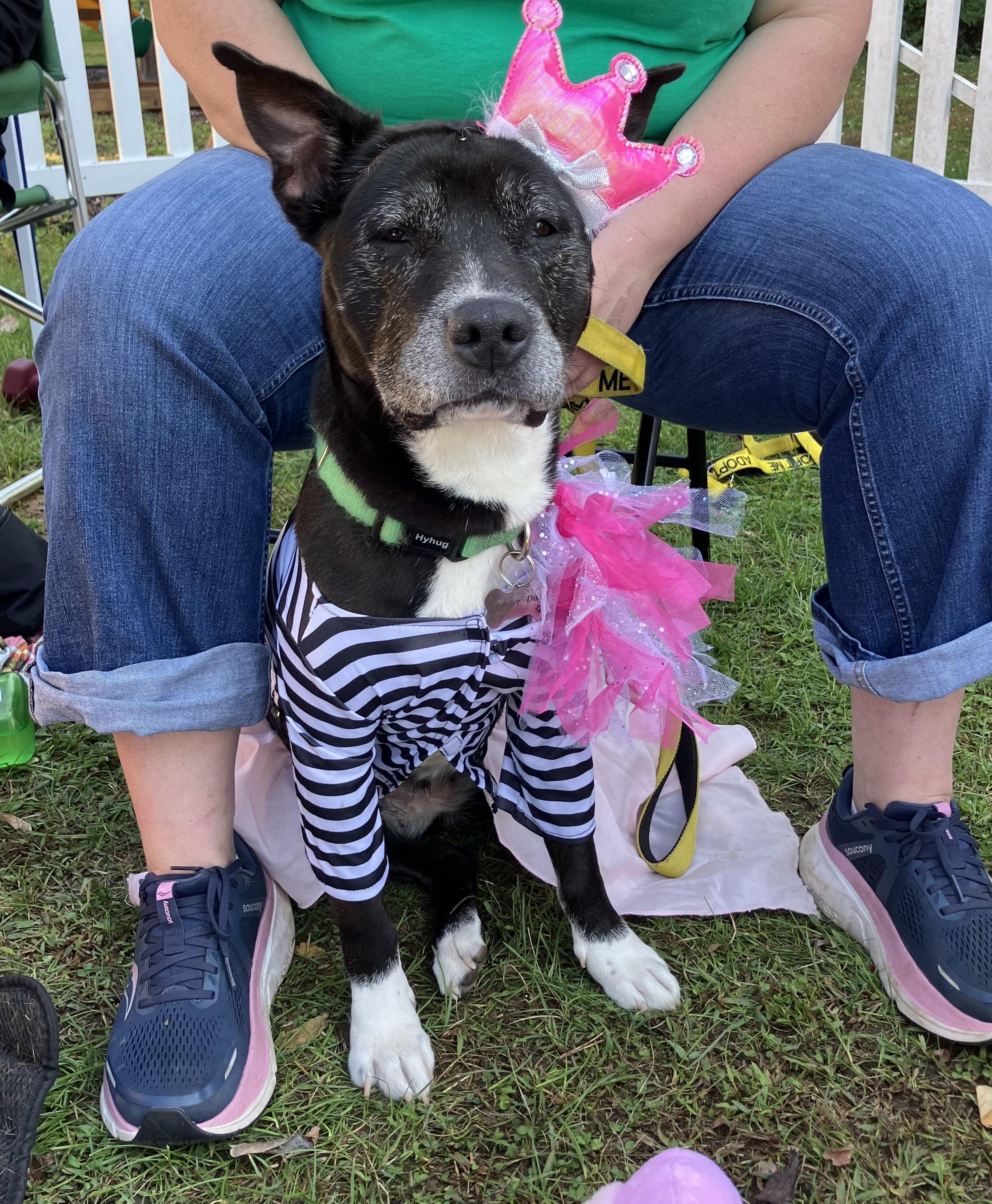 Bootsycourtesy Listing