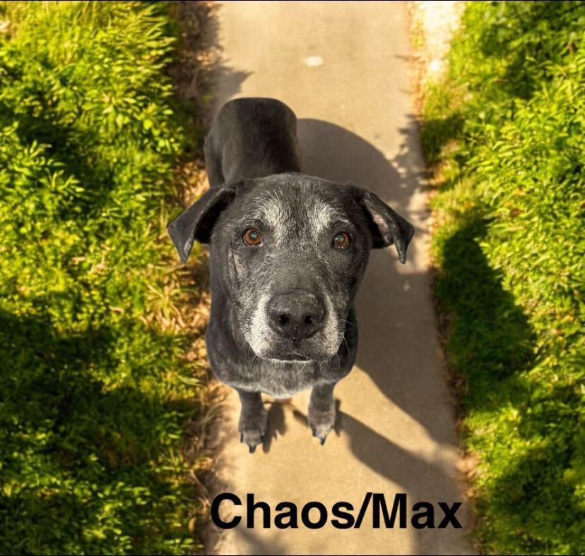 Chaos Max