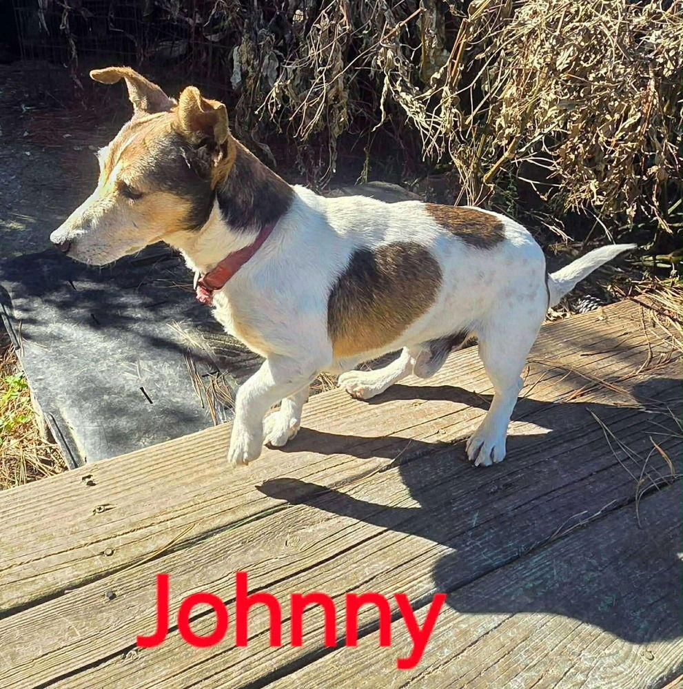 Johnny