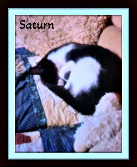 Saturn Snuggle Buddy