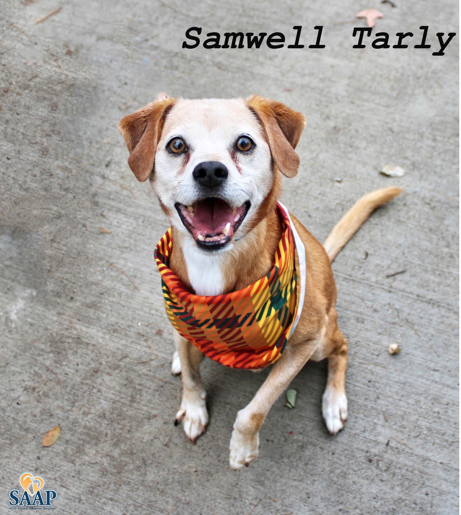 Samwell Tarly photo 1