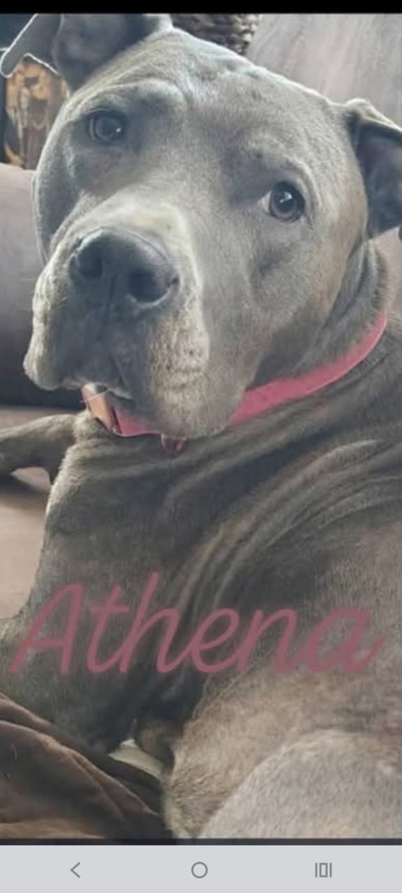 Athena