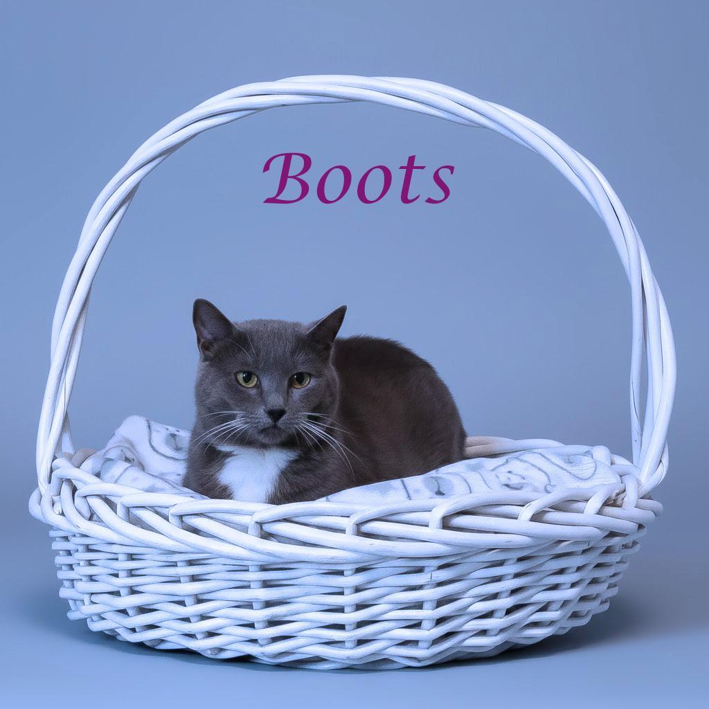 Boots C
