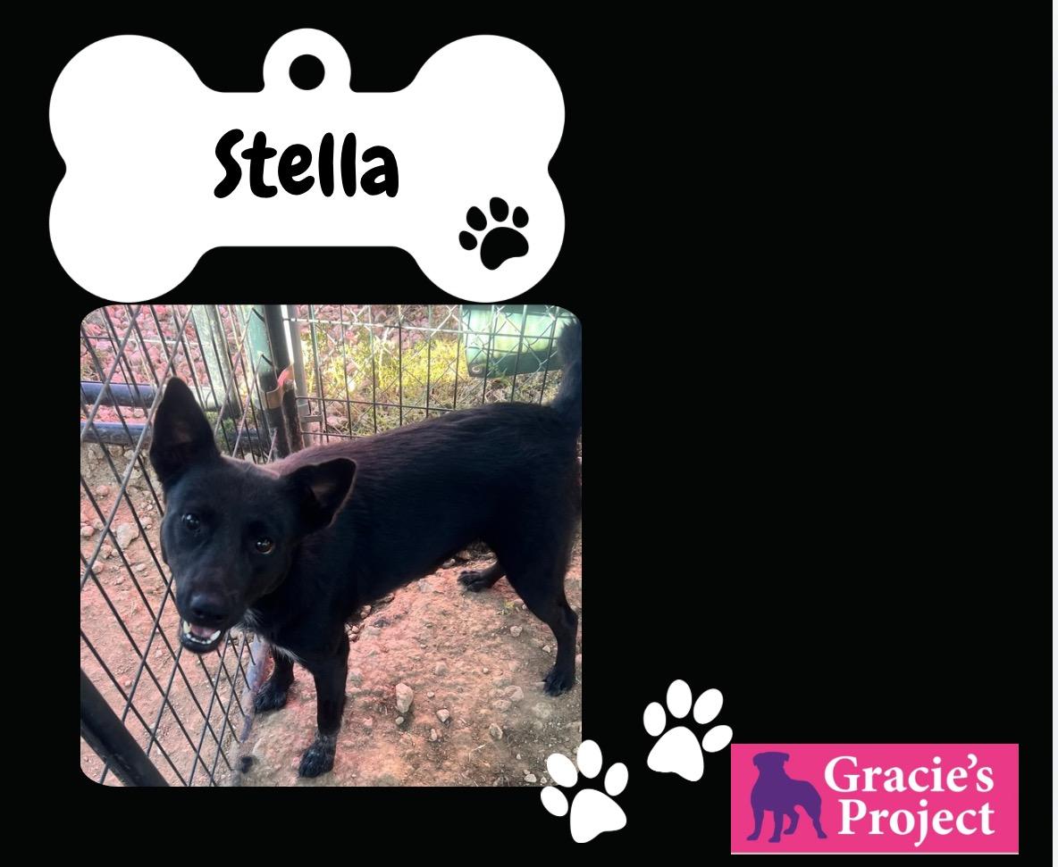 Stella