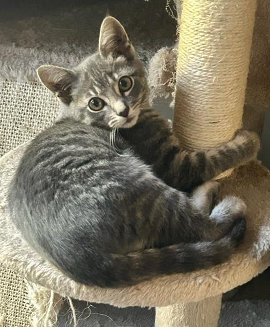 Francois Bonded With Sister