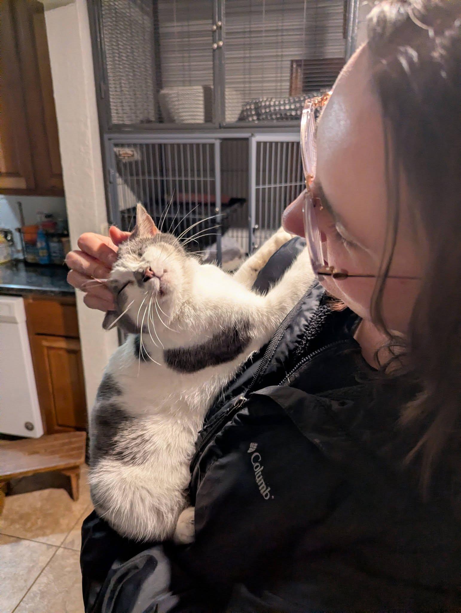 Rainbow Pancakes photo 1