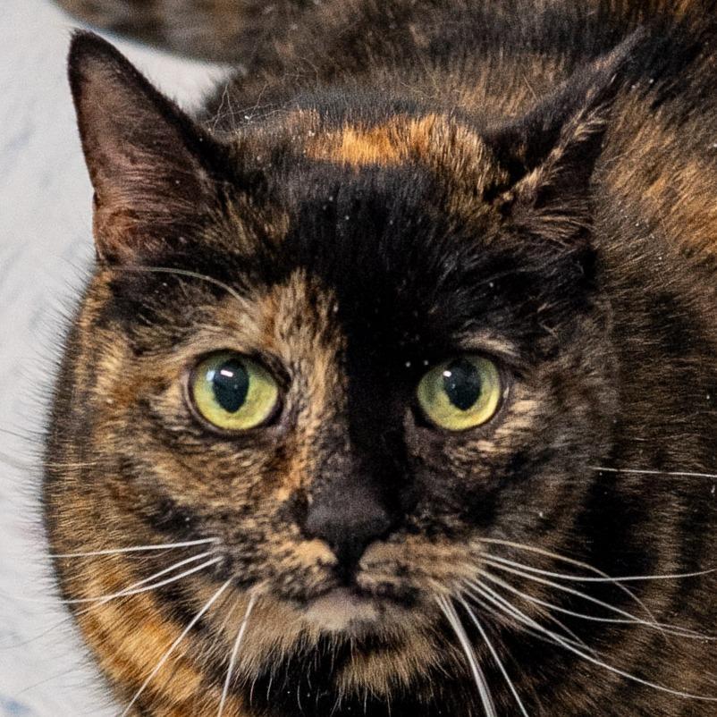 Creepy Bonded W Sally