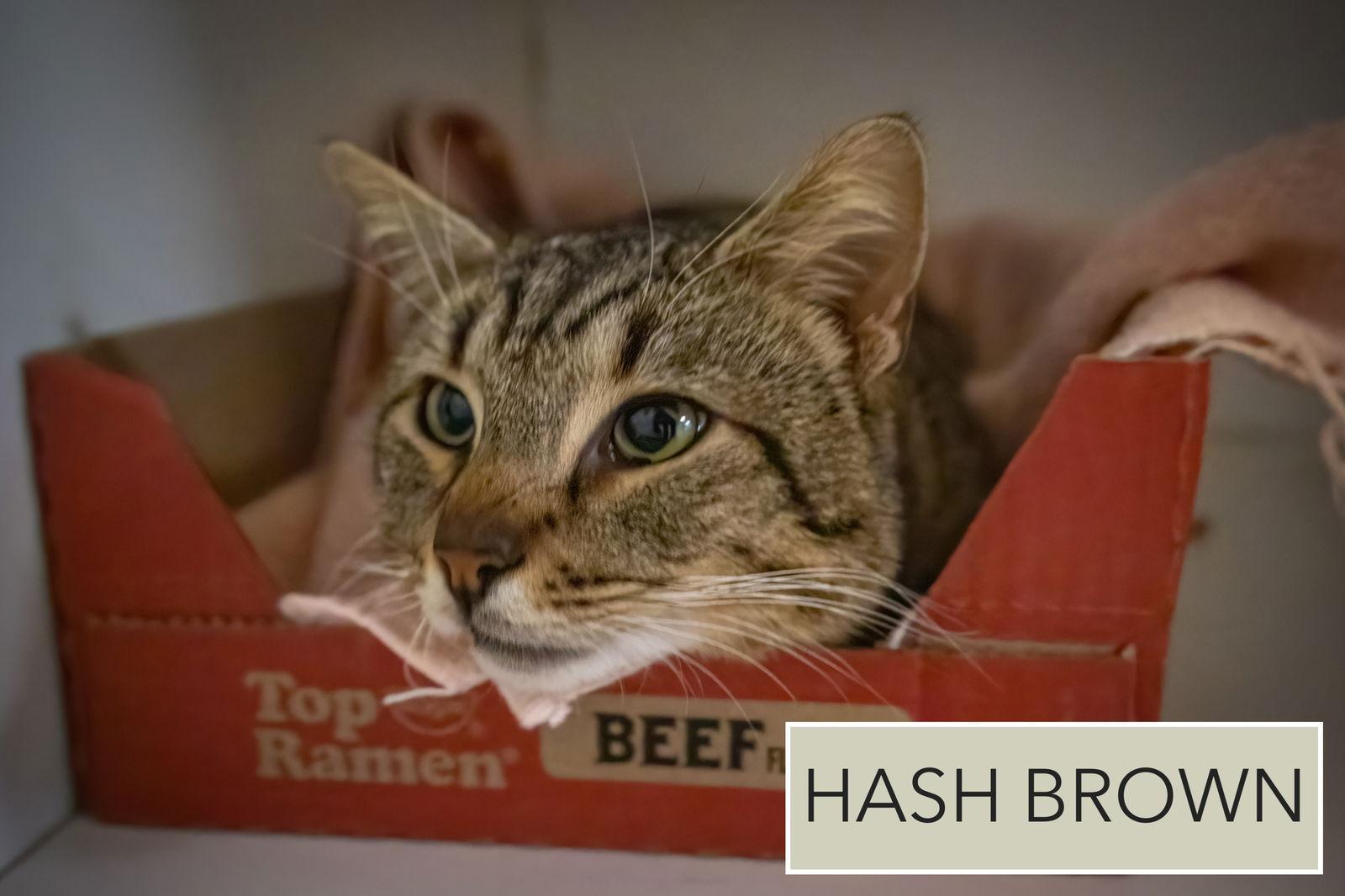 Hash Brown