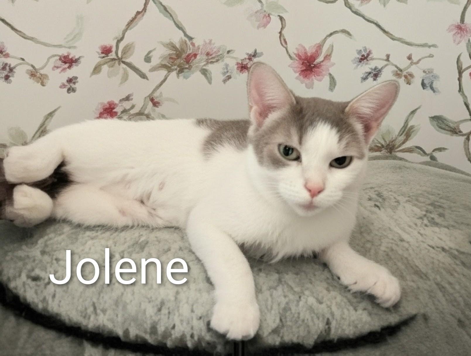 Jolene