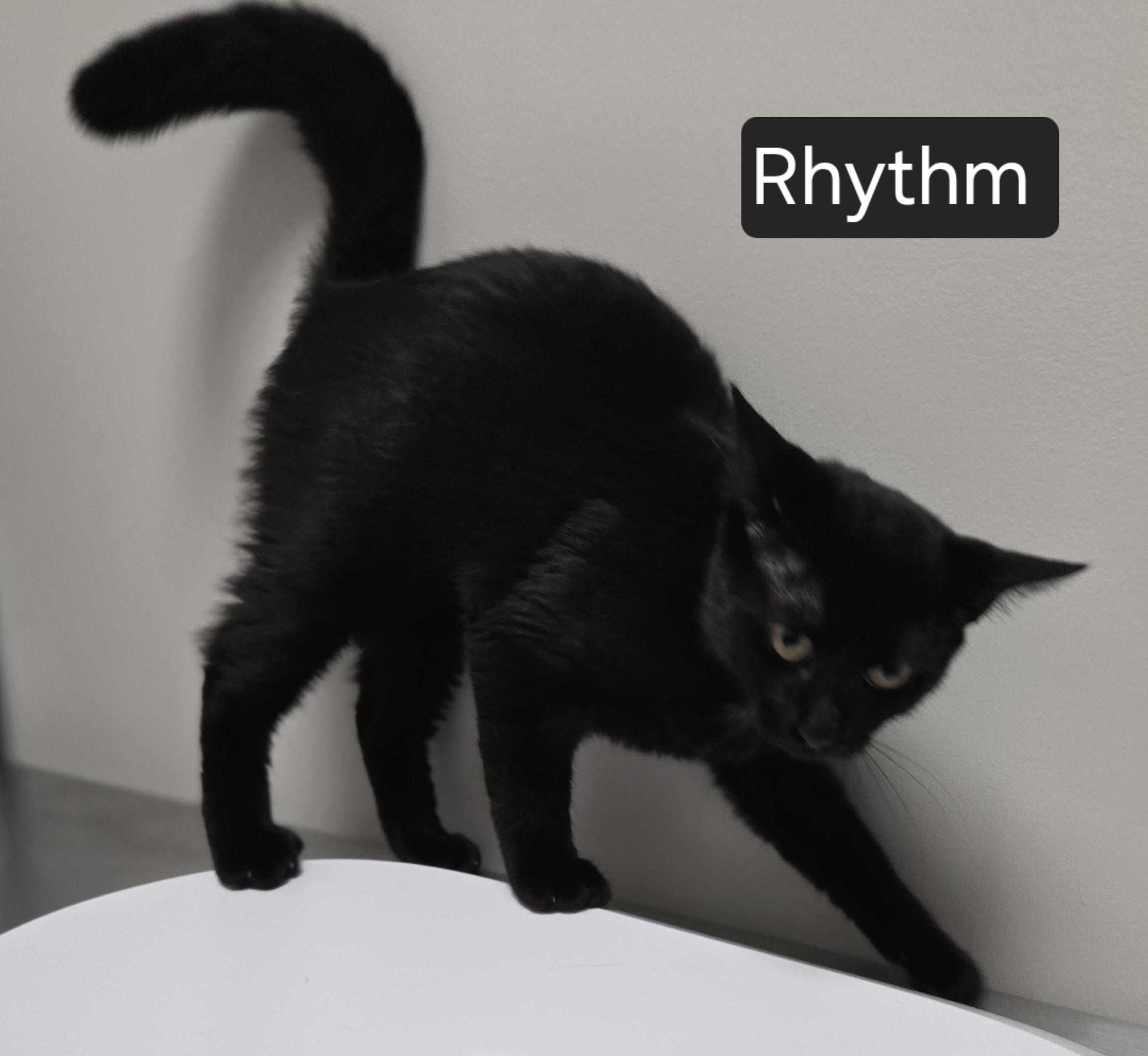 Rhythm