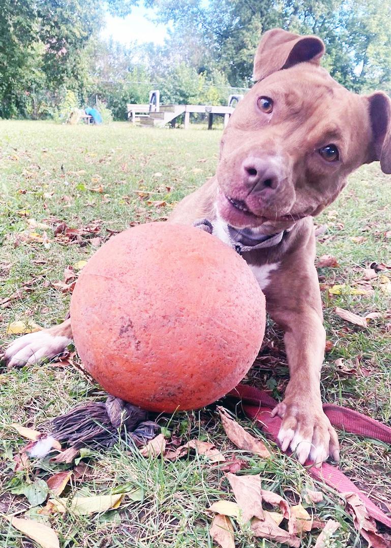 Frannie Sweet Little