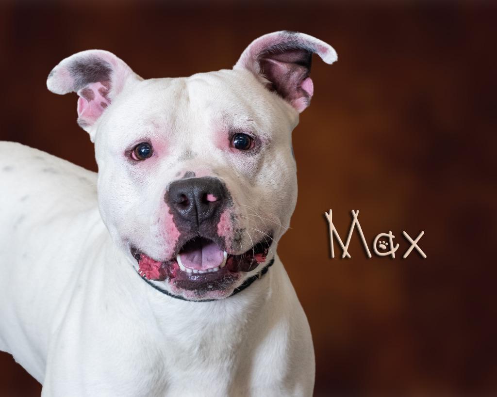 Max