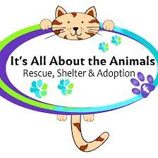 General Application photo 1