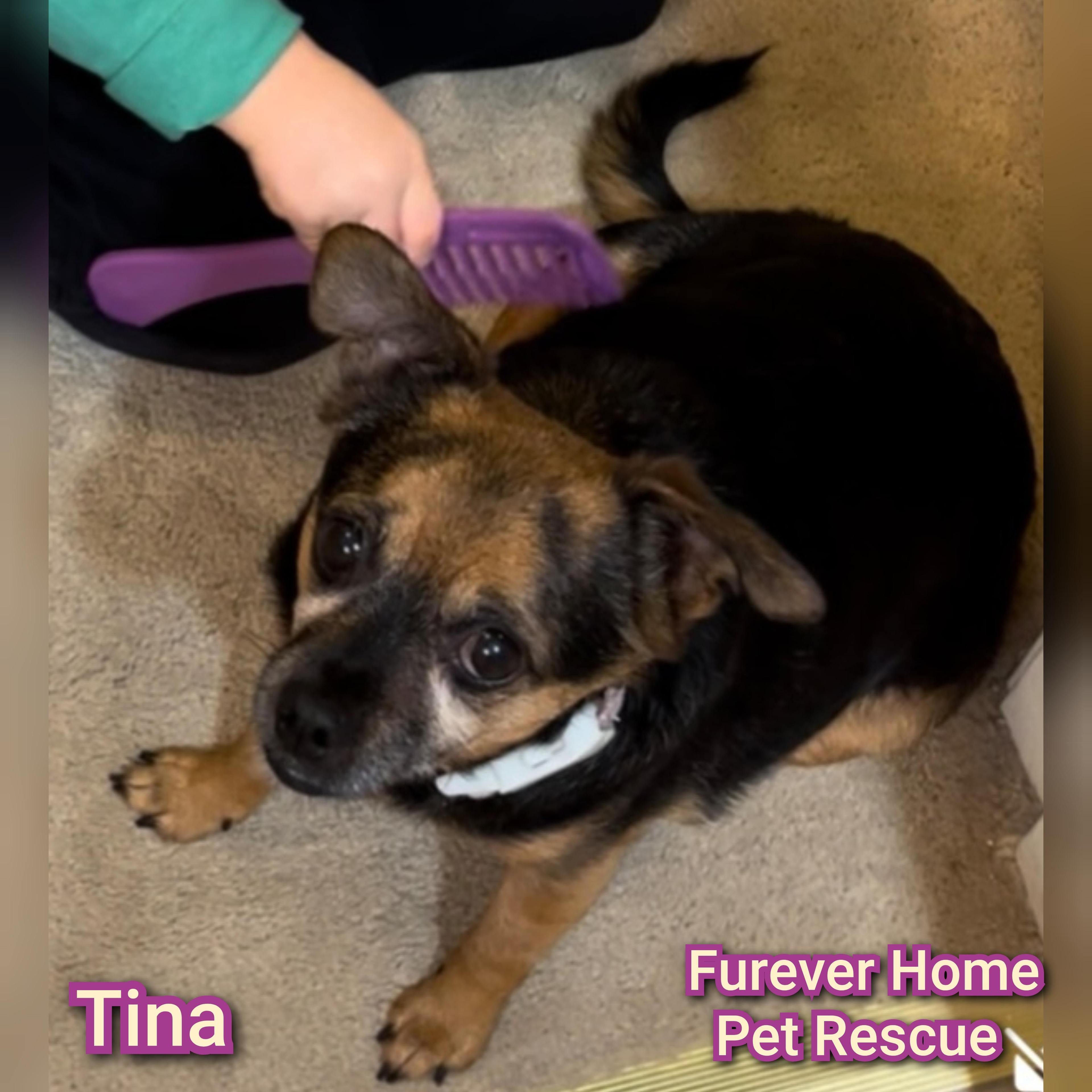 Tina