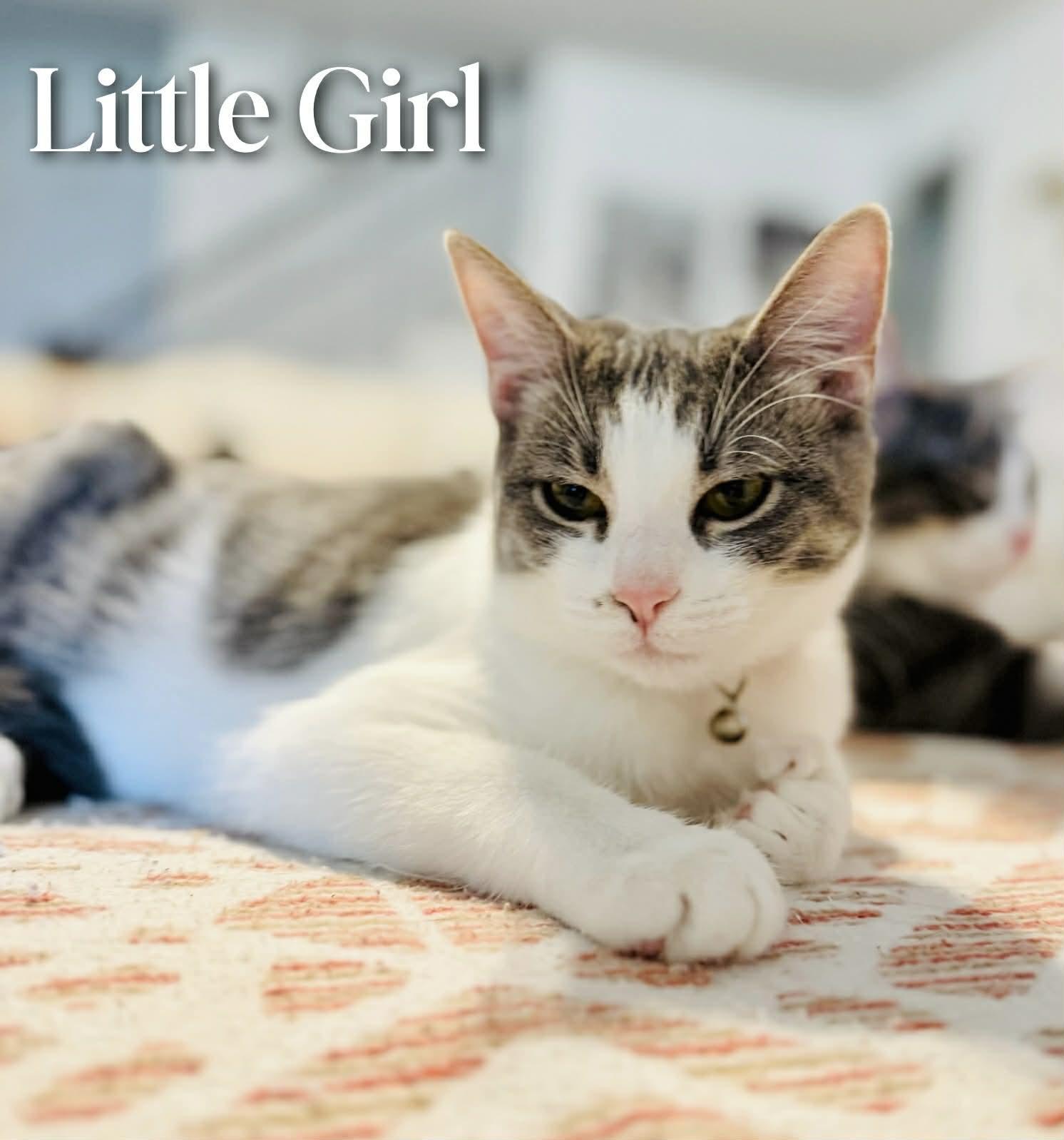 Little Girl