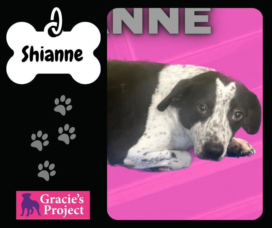 Shianne