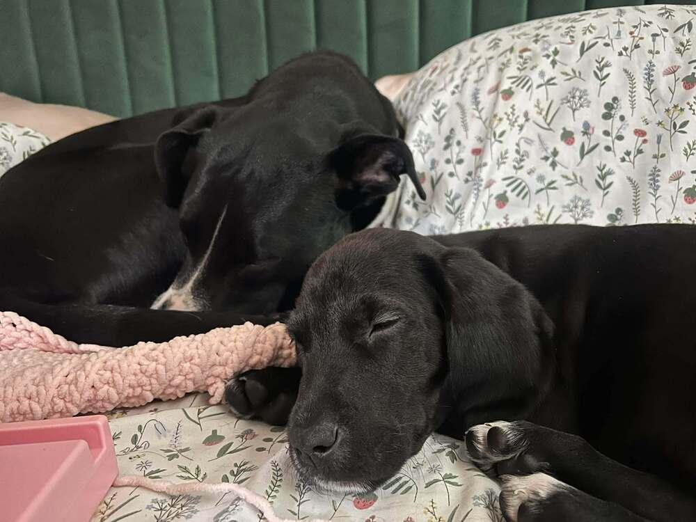 Supernatural Crew photo 1