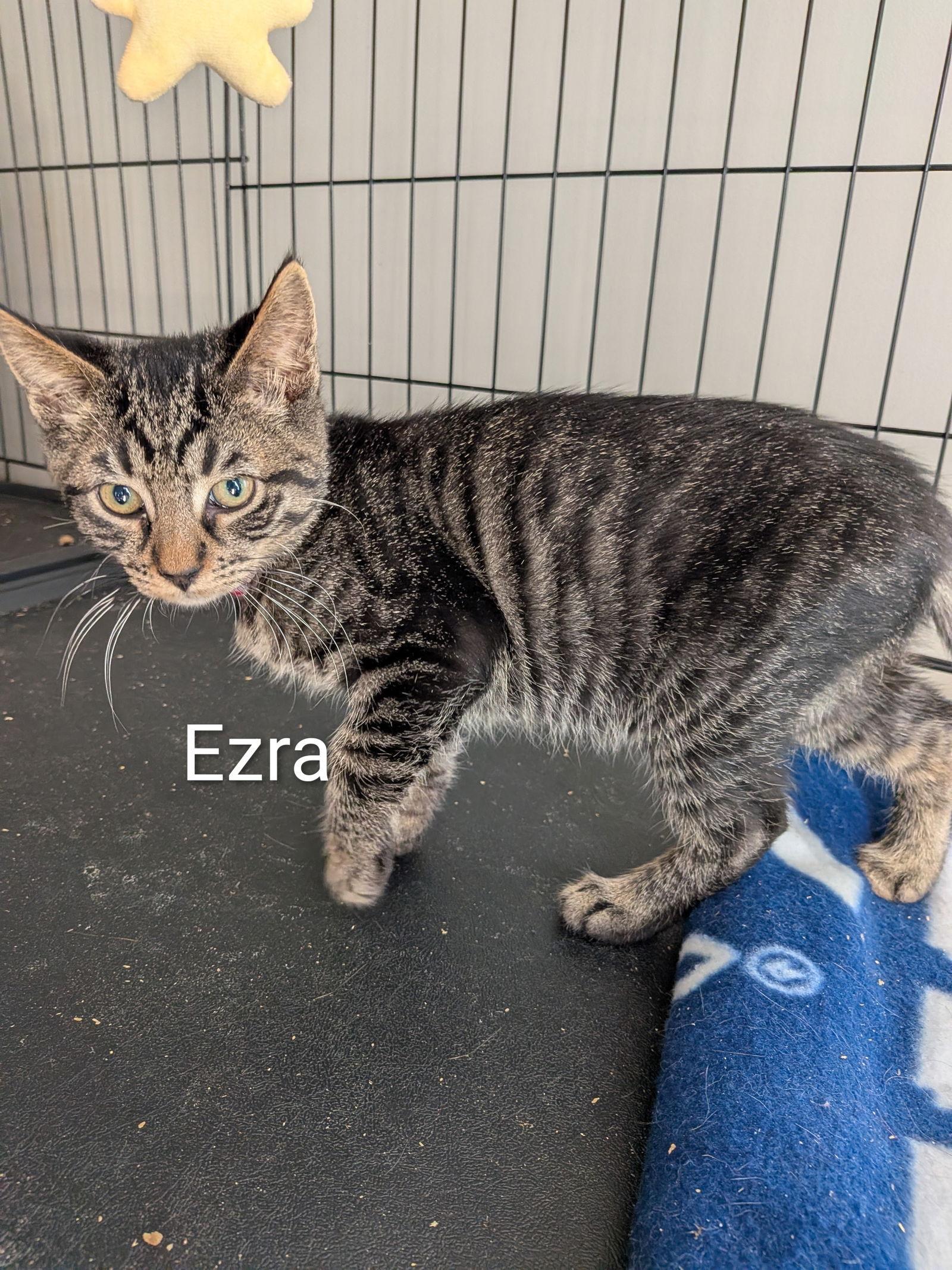 Ezra