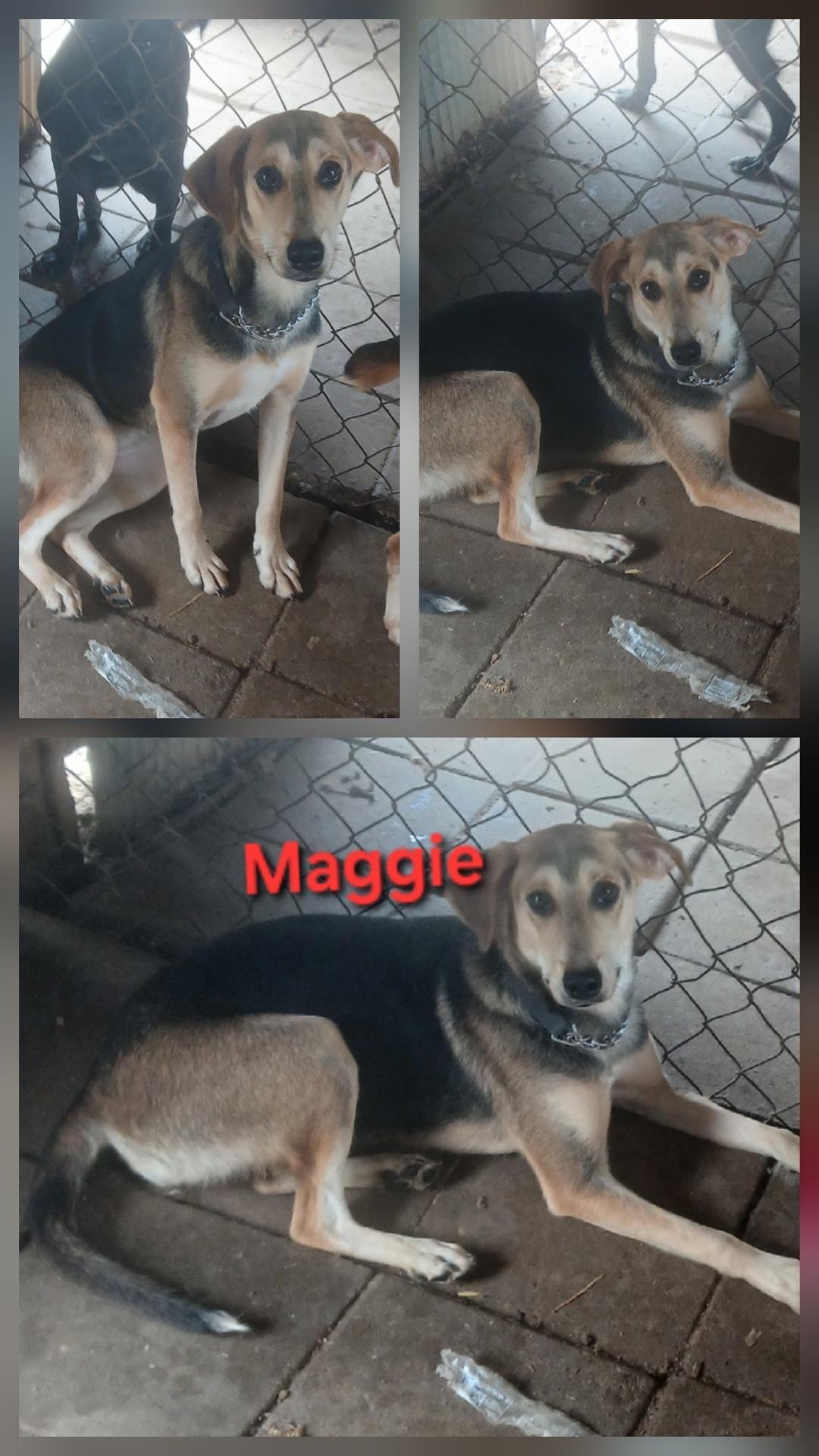 Maggie