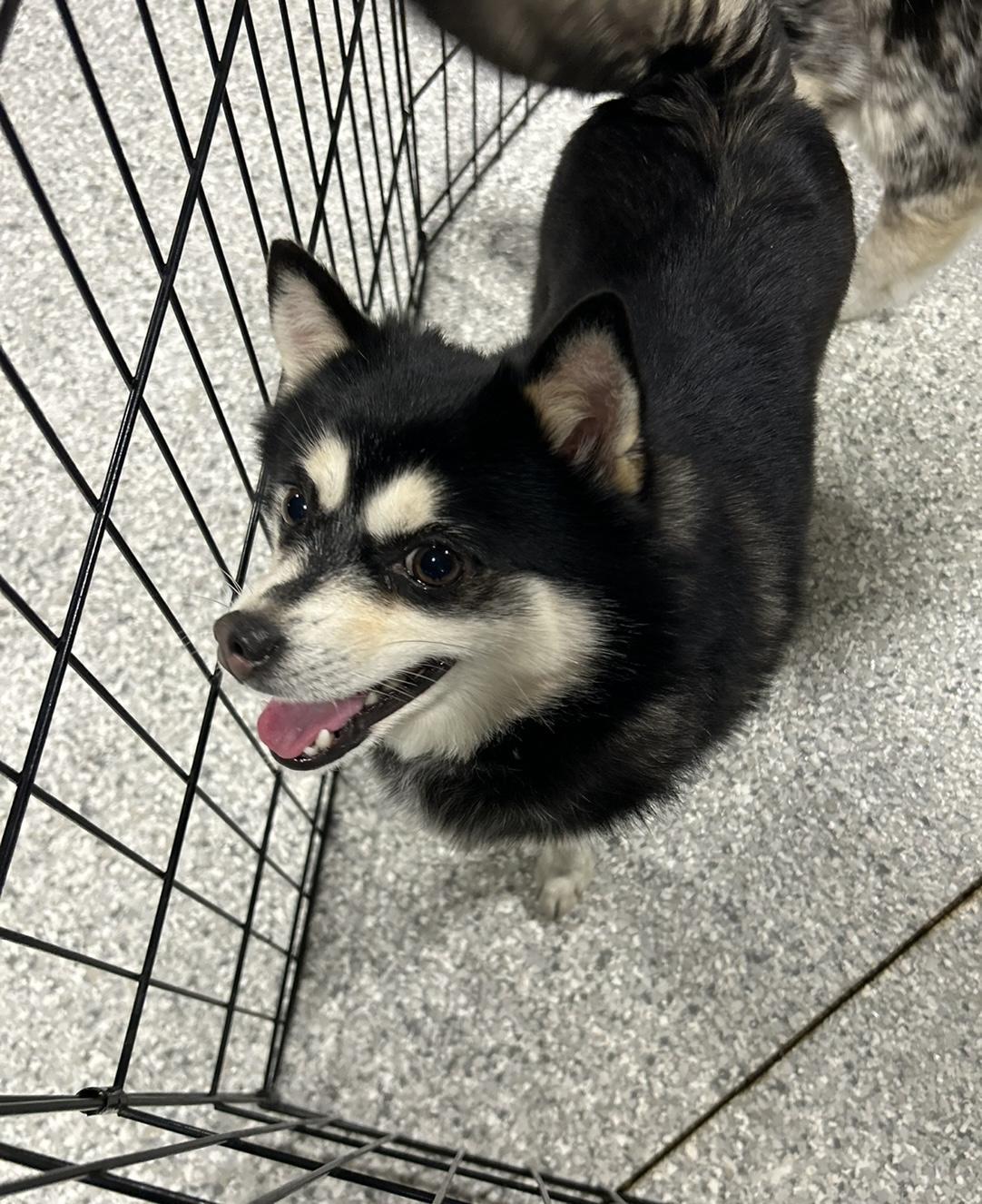 Zuckie Small Lbs photo 1