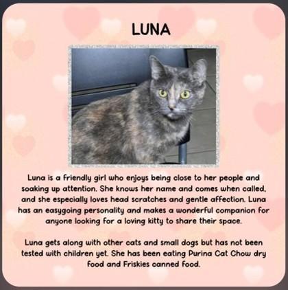 Luna