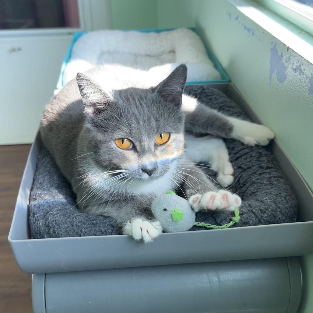 The Notorious B.i.g.