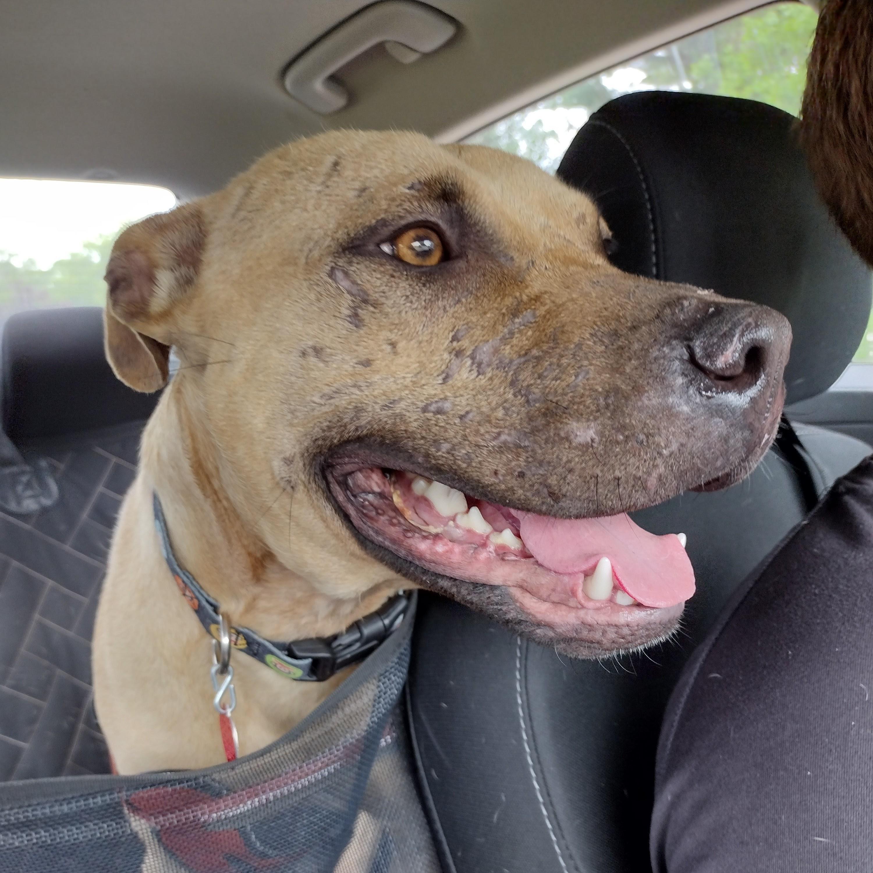 ~ Courtesy ~ Francis